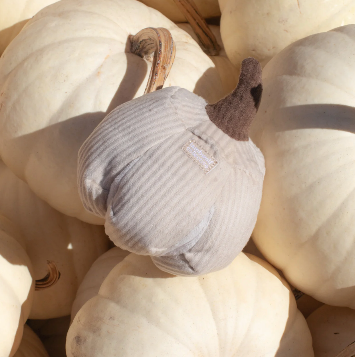 Schnüffelspielzeug BOO Kürbis