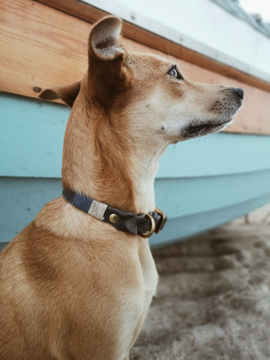 Halsband Eclipse Mini