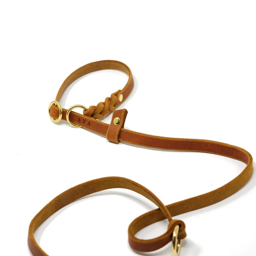 Moxon Leash "Oh,Dear!"