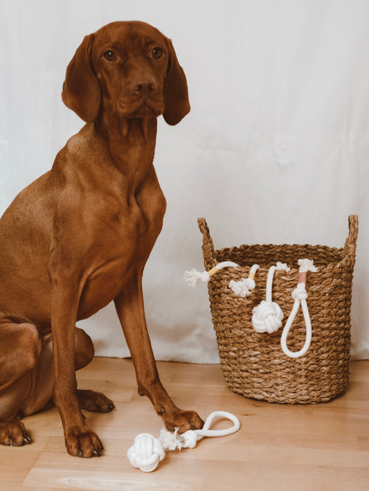 Tauspielzeug "Cotton Rope"