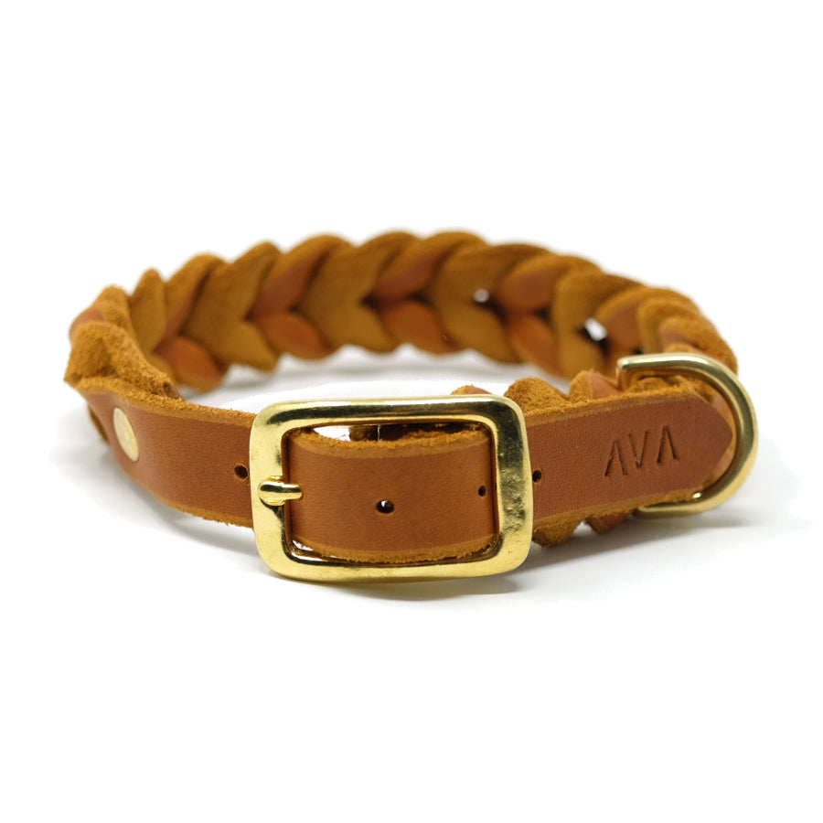 Dog Collar "Fully Braided"
