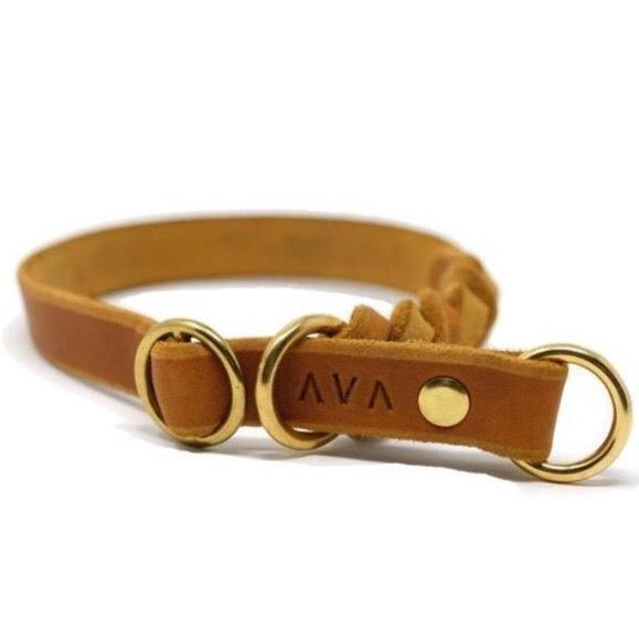 Retrieverhalsband "Oh, Dear!"