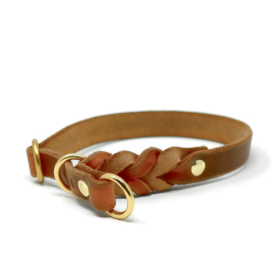 Retrieverhalsband "Oh, Dear!"