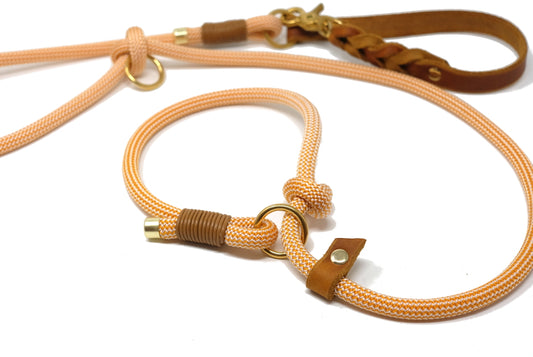 Retrieverleine "Honey Honey"