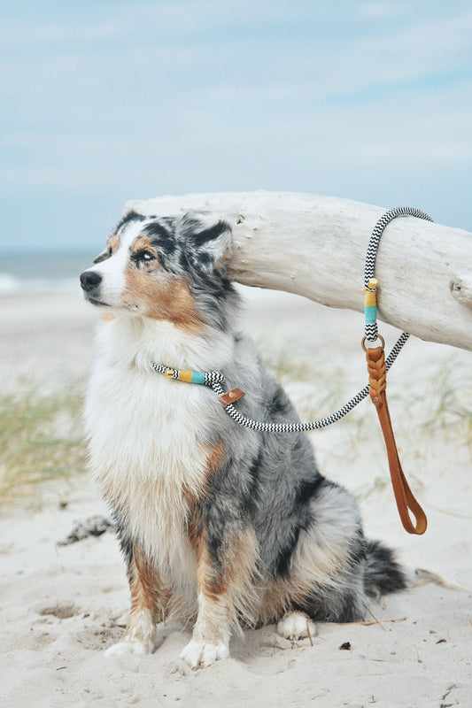 Retrieverleine "Tropical"