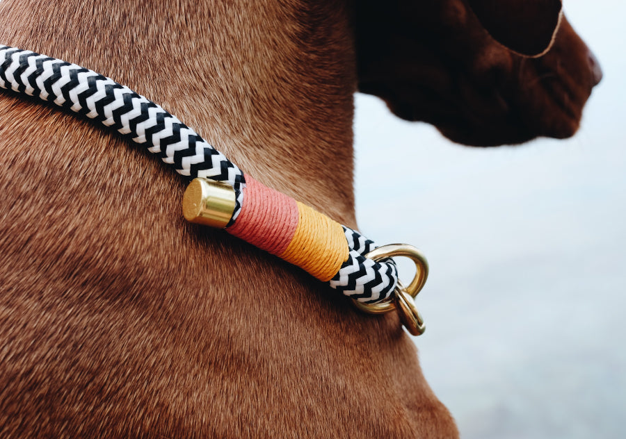 Halsband "Tropical- vegan"