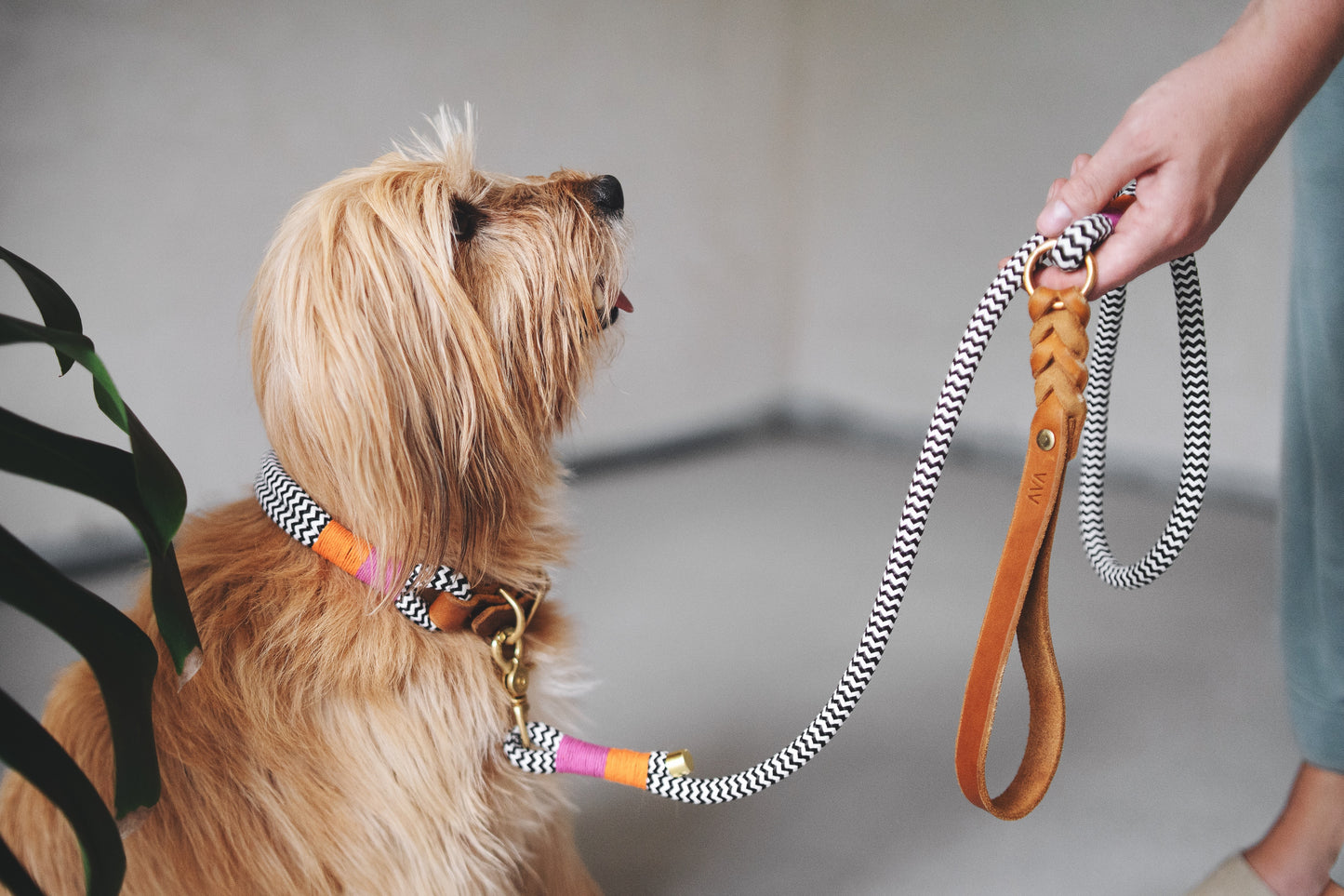 Leash "Tropical"