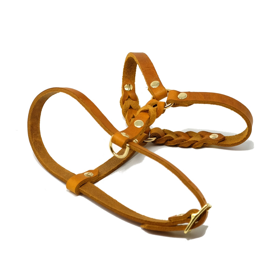 Dog Harness Minimal – Ava Manufaktur