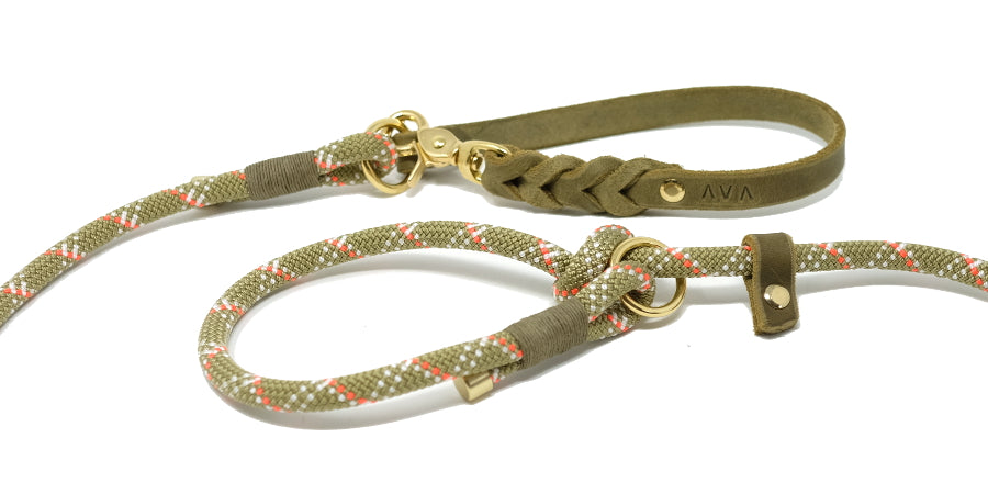 Retrieverleine "Ivy"